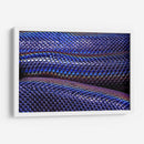 Serpiente tornasol | Cuadro decorativo de Canvas Lab