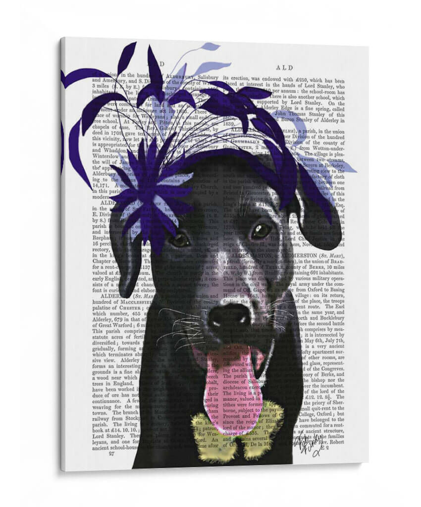 Labrador Negro Con Fascinador Azul. - Fab Funky | Cuadro decorativo de Canvas Lab