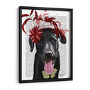 Labrador Negro Con Fascinador Rojo. - Fab Funky | Cuadro decorativo de Canvas Lab