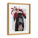 Labrador Negro Con Fascinador Rojo. - Fab Funky | Cuadro decorativo de Canvas Lab