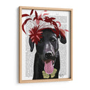 Labrador Negro Con Fascinador Rojo. - Fab Funky | Cuadro decorativo de Canvas Lab