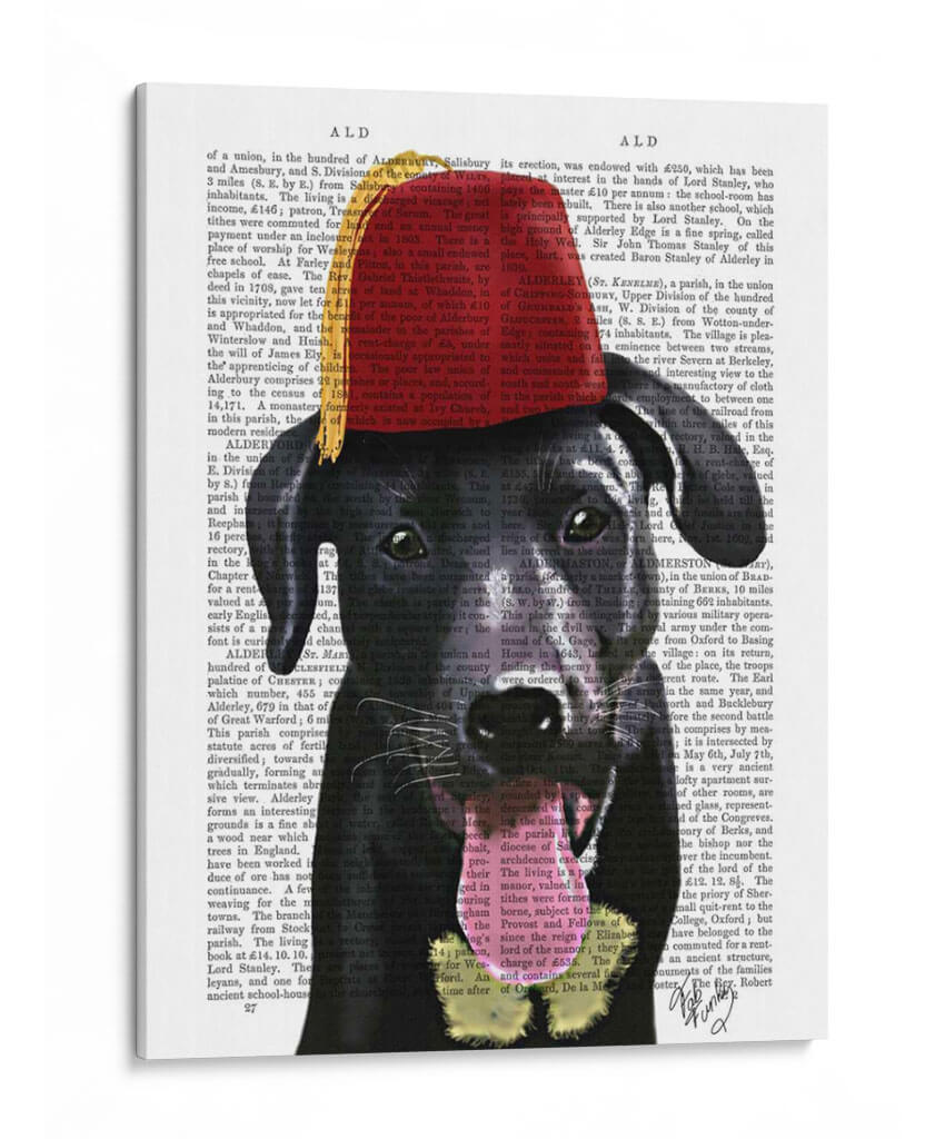 Labrador Negro Con Fez - Fab Funky | Cuadro decorativo de Canvas Lab