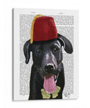 Labrador Negro Con Fez - Fab Funky | Cuadro decorativo de Canvas Lab