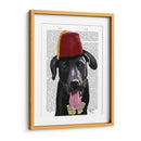 Labrador Negro Con Fez - Fab Funky | Cuadro decorativo de Canvas Lab