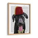 Labrador Negro Con Fez - Fab Funky | Cuadro decorativo de Canvas Lab