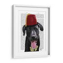 Labrador Negro Con Fez - Fab Funky | Cuadro decorativo de Canvas Lab