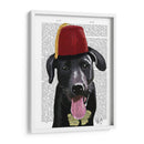Labrador Negro Con Fez - Fab Funky | Cuadro decorativo de Canvas Lab