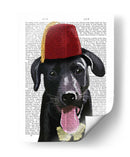 Labrador Negro Con Fez - Fab Funky | Cuadro decorativo de Canvas Lab