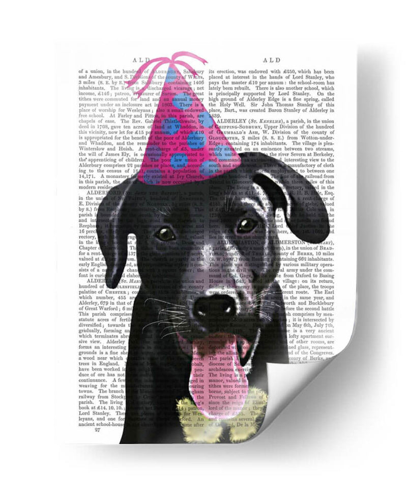 Labrador Negro Con Sombrero De Fiesta - Fab Funky | Cuadro decorativo de Canvas Lab