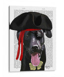 Pirate Black Labrador - Fab Funky | Cuadro decorativo de Canvas Lab
