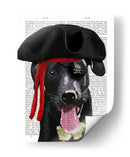 Pirate Black Labrador - Fab Funky | Cuadro decorativo de Canvas Lab