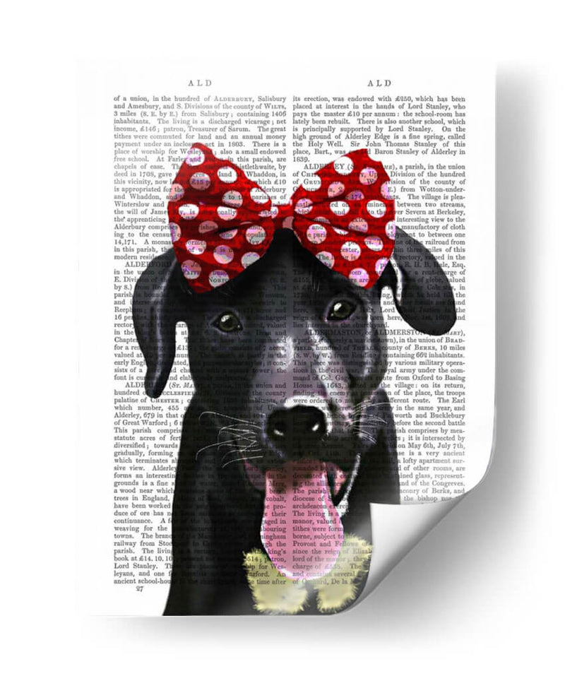 Labrador Negro Con Lazo Rojo En La Cabeza - Fab Funky | Cuadro decorativo de Canvas Lab