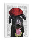 Labrador Negro Con Gorra Roja - Fab Funky | Cuadro decorativo de Canvas Lab