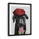 Labrador Negro Con Gorra Roja - Fab Funky | Cuadro decorativo de Canvas Lab