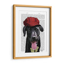 Labrador Negro Con Gorra Roja - Fab Funky | Cuadro decorativo de Canvas Lab