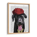 Labrador Negro Con Gorra Roja - Fab Funky | Cuadro decorativo de Canvas Lab