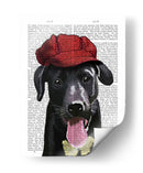 Labrador Negro Con Gorra Roja - Fab Funky | Cuadro decorativo de Canvas Lab