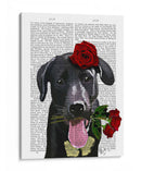 Labrador Negro Con Rosas - Fab Funky | Cuadro decorativo de Canvas Lab