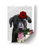 Labrador Negro Con Rosas - Fab Funky | Cuadro decorativo de Canvas Lab