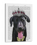 Labrador Negro Con Tiara - Fab Funky | Cuadro decorativo de Canvas Lab
