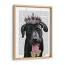 Labrador Negro Con Tiara - Fab Funky | Cuadro decorativo de Canvas Lab