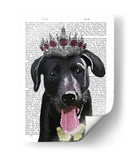 Labrador Negro Con Tiara - Fab Funky | Cuadro decorativo de Canvas Lab