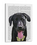 Llanura De Labrador Negro - Fab Funky | Cuadro decorativo de Canvas Lab
