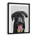 Llanura De Labrador Negro - Fab Funky | Cuadro decorativo de Canvas Lab