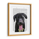 Llanura De Labrador Negro - Fab Funky | Cuadro decorativo de Canvas Lab