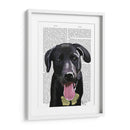 Llanura De Labrador Negro - Fab Funky | Cuadro decorativo de Canvas Lab