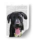 Llanura De Labrador Negro - Fab Funky | Cuadro decorativo de Canvas Lab