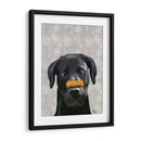 Labrador Negro Con Hueso En La Nariz - Fab Funky | Cuadro decorativo de Canvas Lab