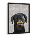 Labrador Negro Con Hueso En La Nariz - Fab Funky | Cuadro decorativo de Canvas Lab