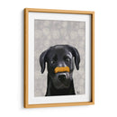 Labrador Negro Con Hueso En La Nariz - Fab Funky | Cuadro decorativo de Canvas Lab