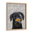 Labrador Negro Con Hueso En La Nariz - Fab Funky | Cuadro decorativo de Canvas Lab