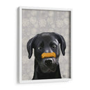 Labrador Negro Con Hueso En La Nariz - Fab Funky | Cuadro decorativo de Canvas Lab