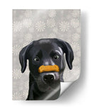 Labrador Negro Con Hueso En La Nariz - Fab Funky | Cuadro decorativo de Canvas Lab