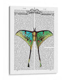 Mariposa 1 - Fab Funky | Cuadro decorativo de Canvas Lab
