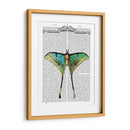 Mariposa 1 - Fab Funky | Cuadro decorativo de Canvas Lab