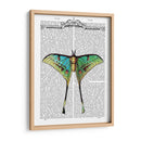 Mariposa 1 - Fab Funky | Cuadro decorativo de Canvas Lab