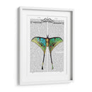 Mariposa 1 - Fab Funky | Cuadro decorativo de Canvas Lab