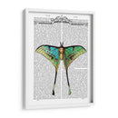 Mariposa 1 - Fab Funky | Cuadro decorativo de Canvas Lab