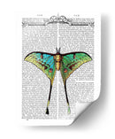 Mariposa 1 - Fab Funky | Cuadro decorativo de Canvas Lab