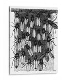 Impresión De Abeja Y Panal - Fab Funky | Cuadro decorativo de Canvas Lab