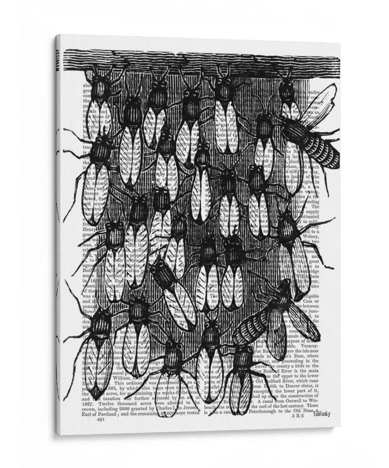 Impresión De Abeja Y Panal - Fab Funky | Cuadro decorativo de Canvas Lab
