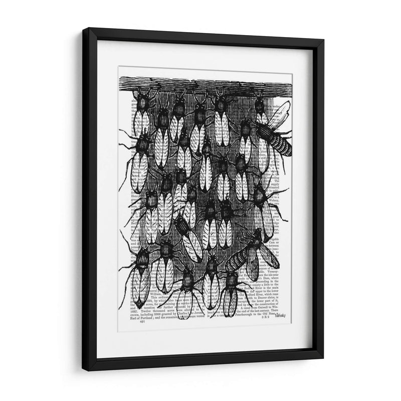 Impresión De Abeja Y Panal - Fab Funky | Cuadro decorativo de Canvas Lab