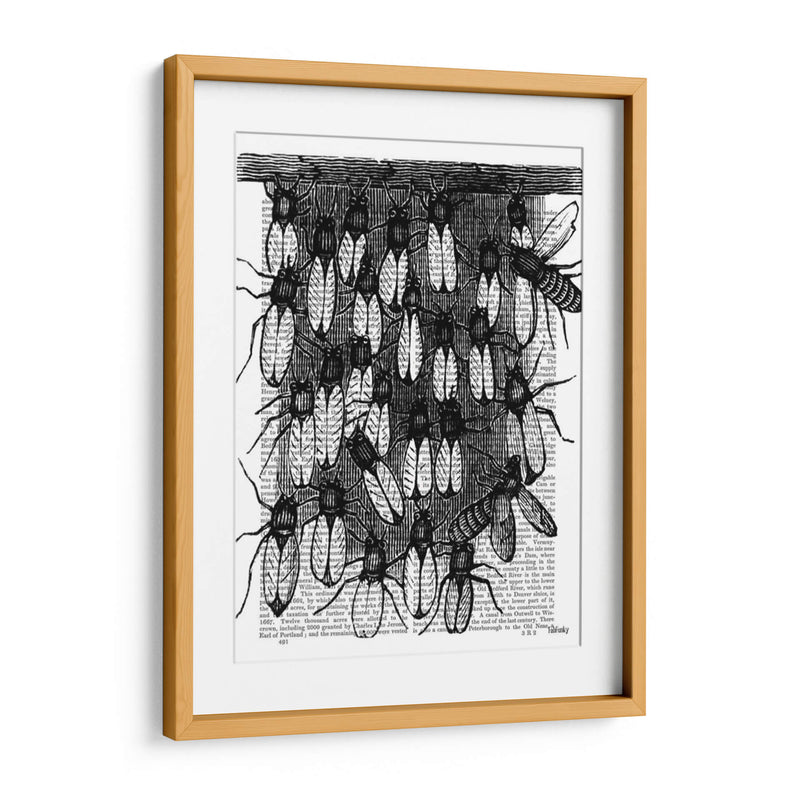 Impresión De Abeja Y Panal - Fab Funky | Cuadro decorativo de Canvas Lab