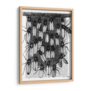 Impresión De Abeja Y Panal - Fab Funky | Cuadro decorativo de Canvas Lab