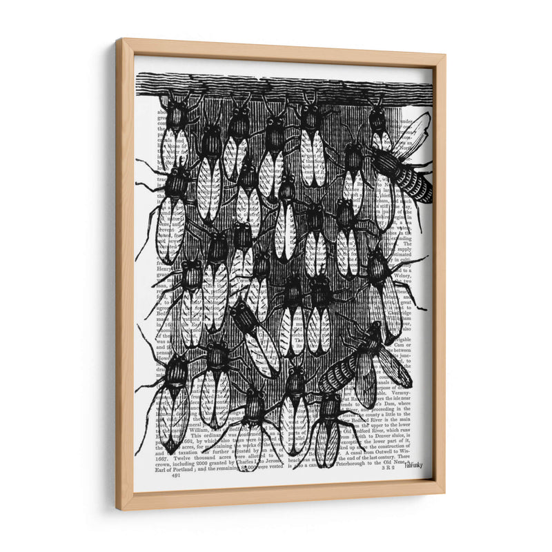 Impresión De Abeja Y Panal - Fab Funky | Cuadro decorativo de Canvas Lab