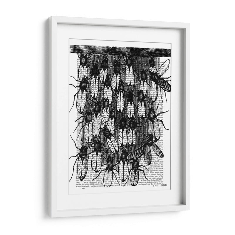 Impresión De Abeja Y Panal - Fab Funky | Cuadro decorativo de Canvas Lab